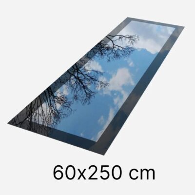 Fenêtre de toit plat 60 x 250 cm