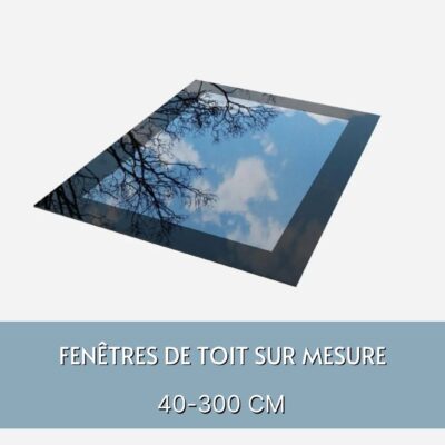 Fenêtres de toit sur mesure